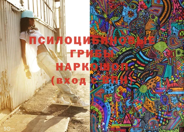 трава Осинники