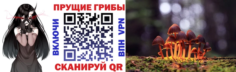 Псилоцибиновые грибы GOLDEN TEACHER  купить наркотик  Курлово 